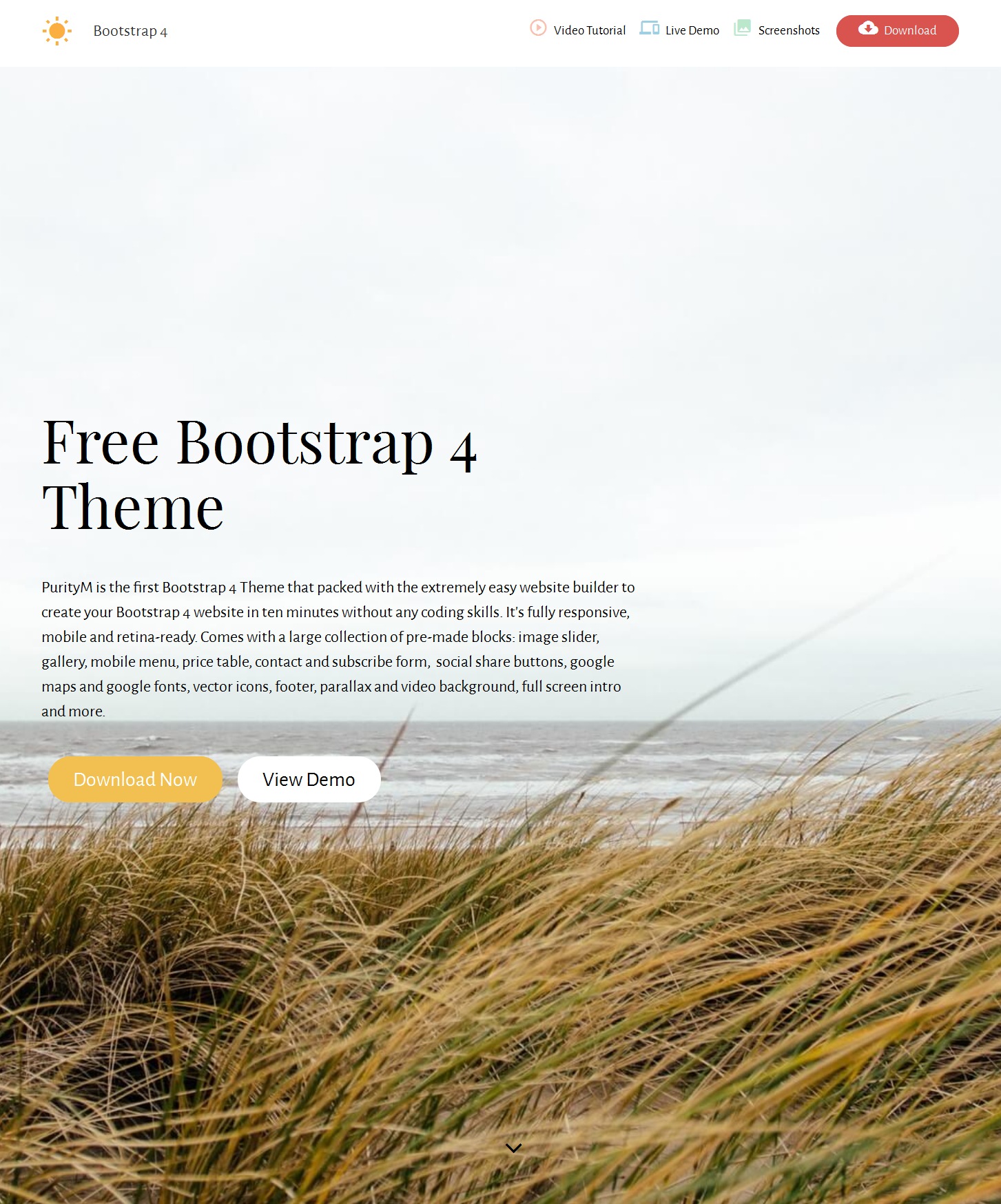 HTML Bootstrap Landing Page Theme